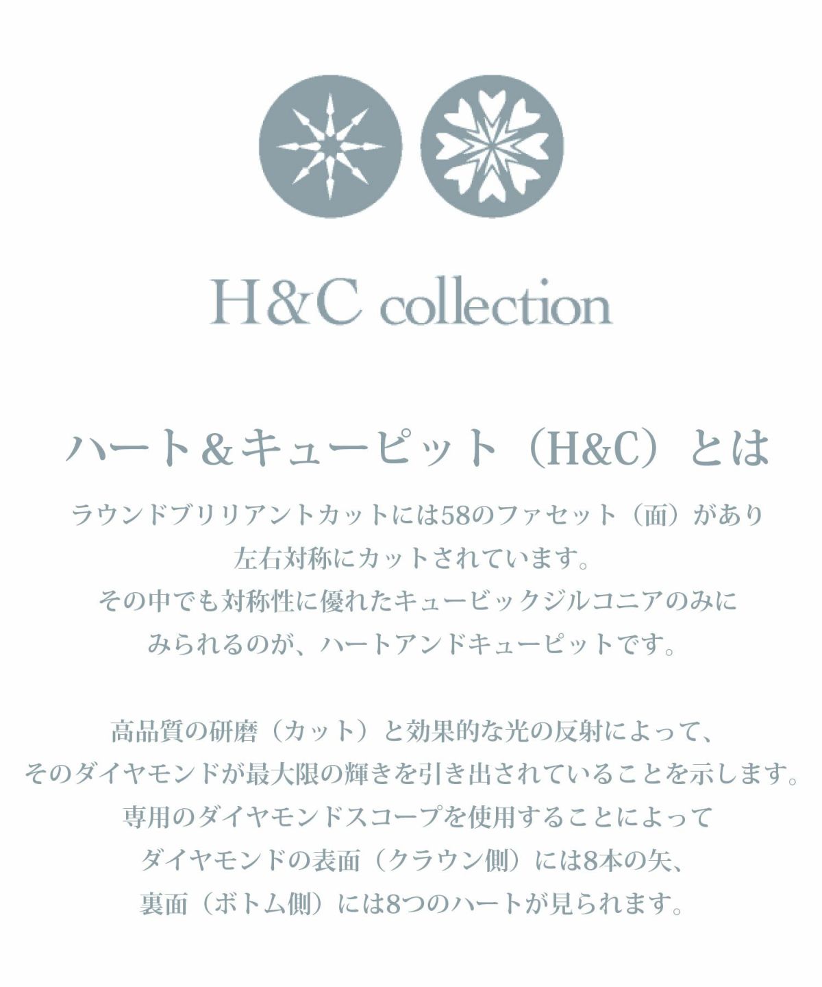 Pave Moon 925 Silver Petite Pendant【H&Ccollection】