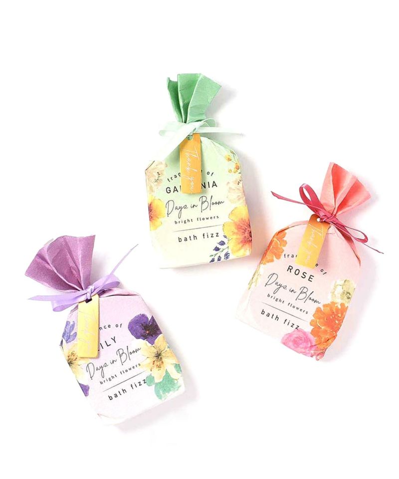 その他 Blush Blossom FunFest 心華やぐ予感、新しい重なり色づくBlossom Picnic Collection