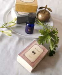 エッセンシャルオイル レファレンスガイド レガシーエディション(2024) Essential Oil Reference Guide, Legacy Edition – Seeds of Thyme