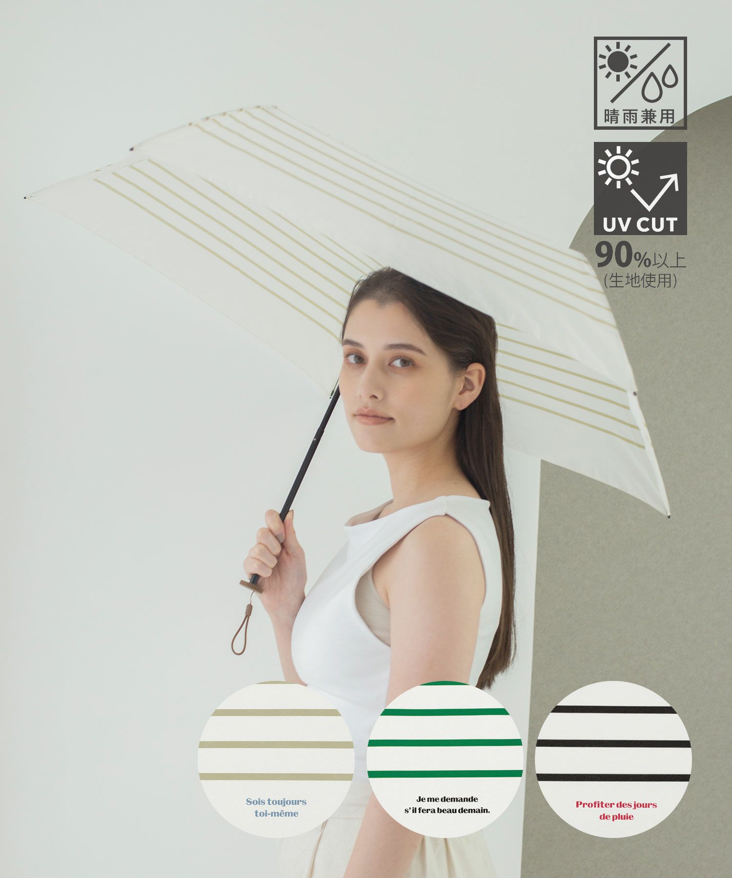 フレンチボーダーmini