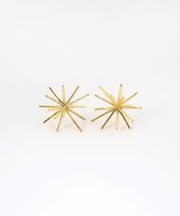 ホシハナチタンポストピアス