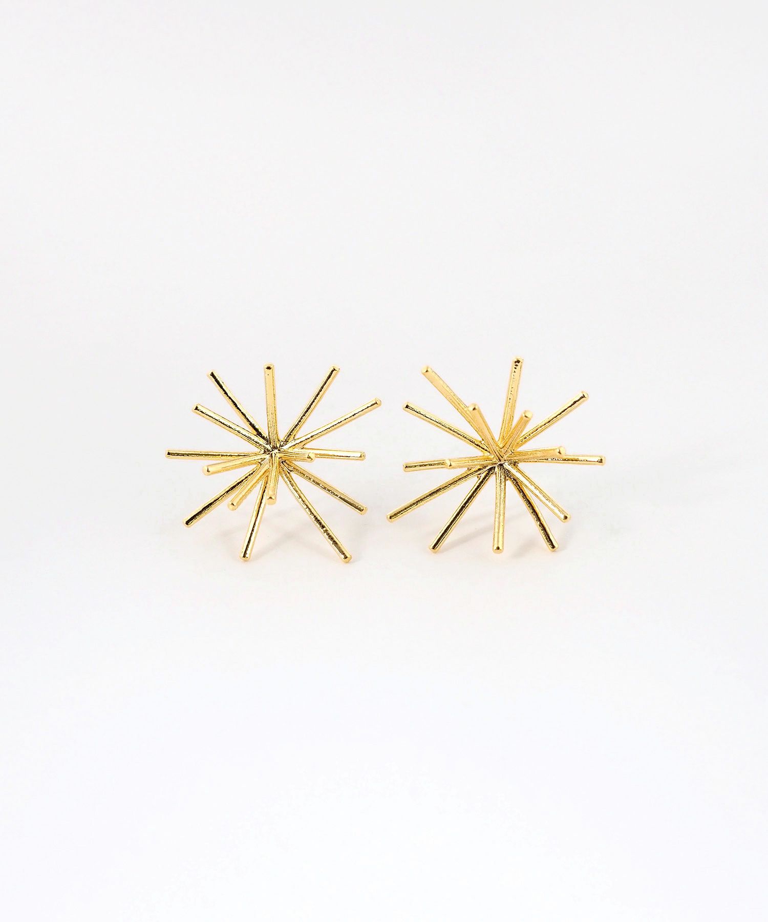 ホシハナチタンポストピアス