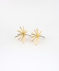 ホシハナチタンポストピアス