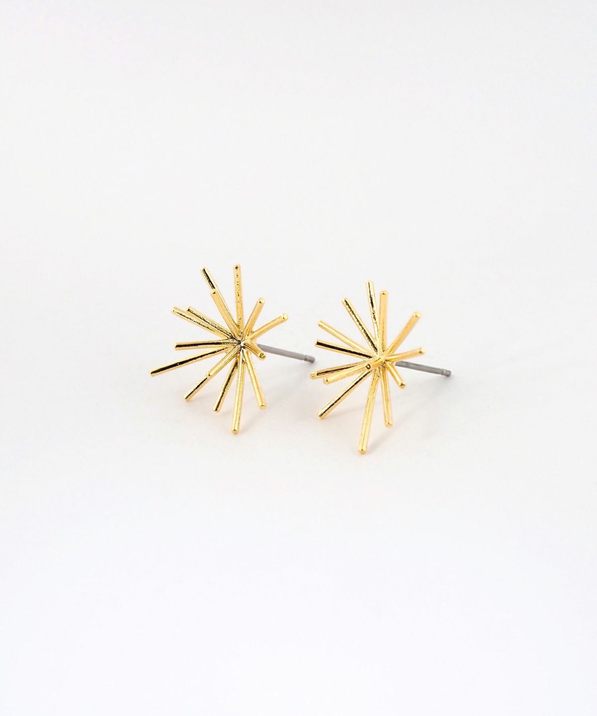 ホシハナチタンポストピアス