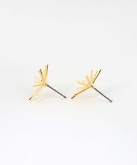 ホシハナチタンポストピアス