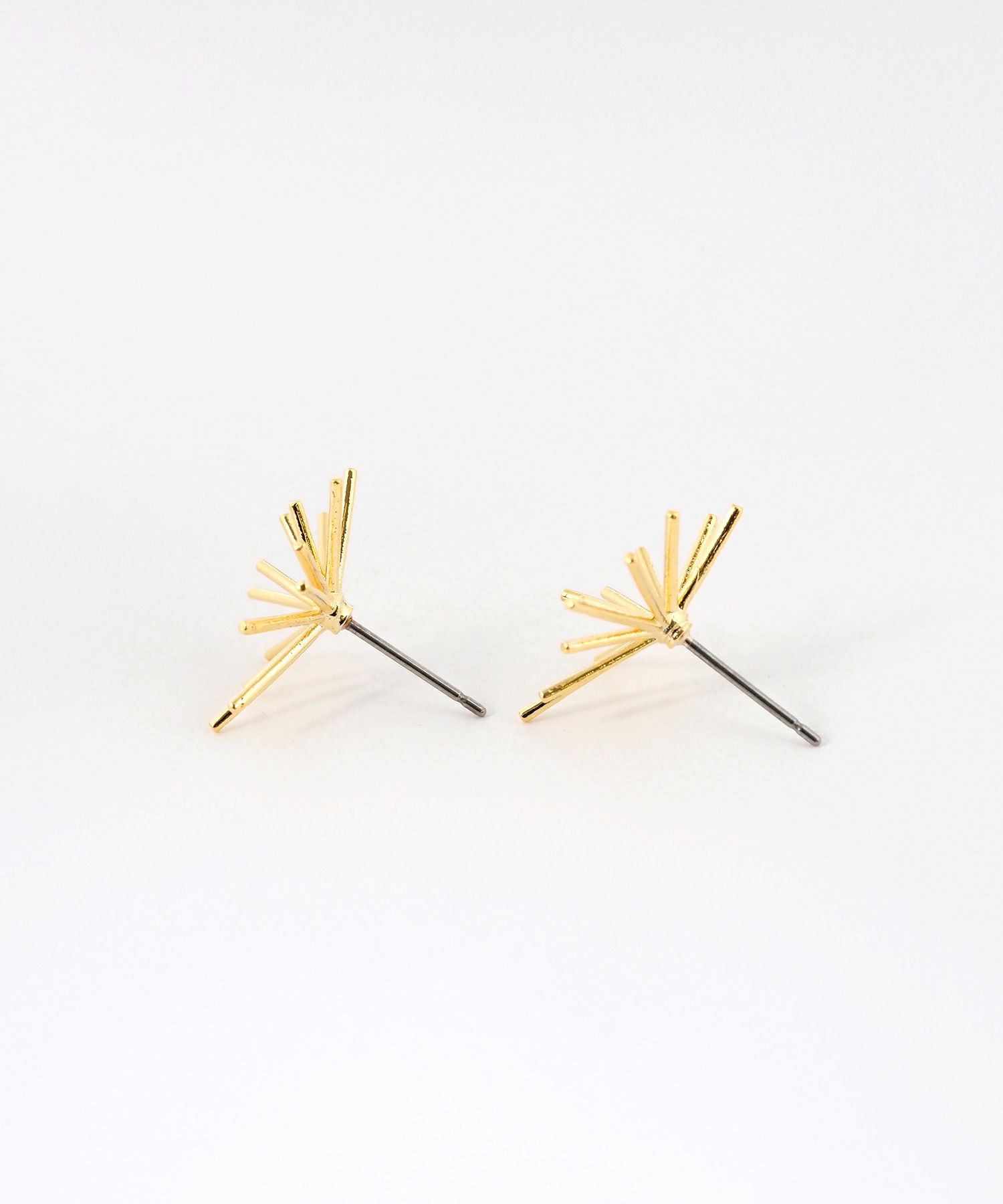 ホシハナチタンポストピアス