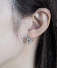 ホシハナチタンポストピアス