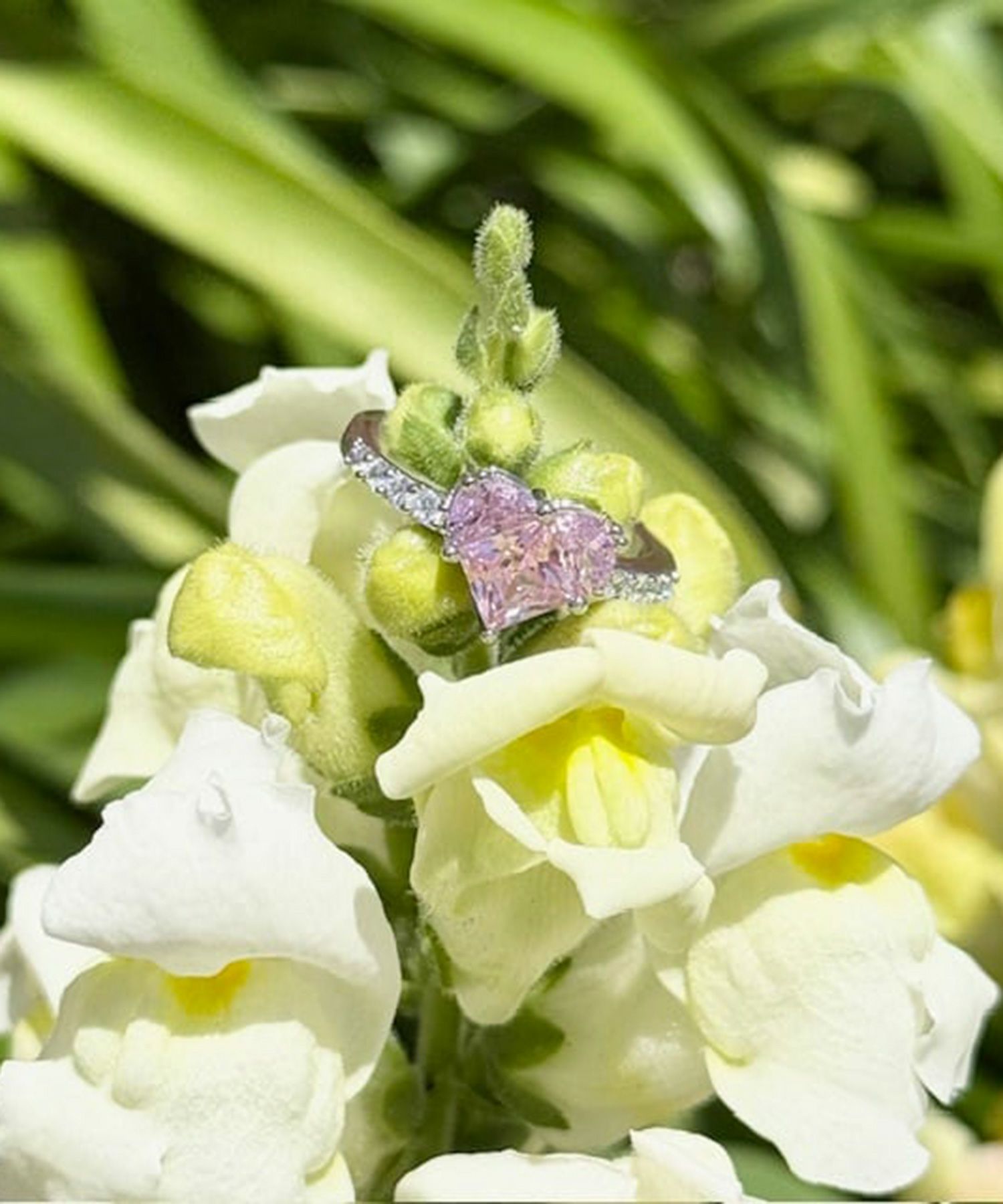 キュービックハートシャイニーリング【Dahlia】