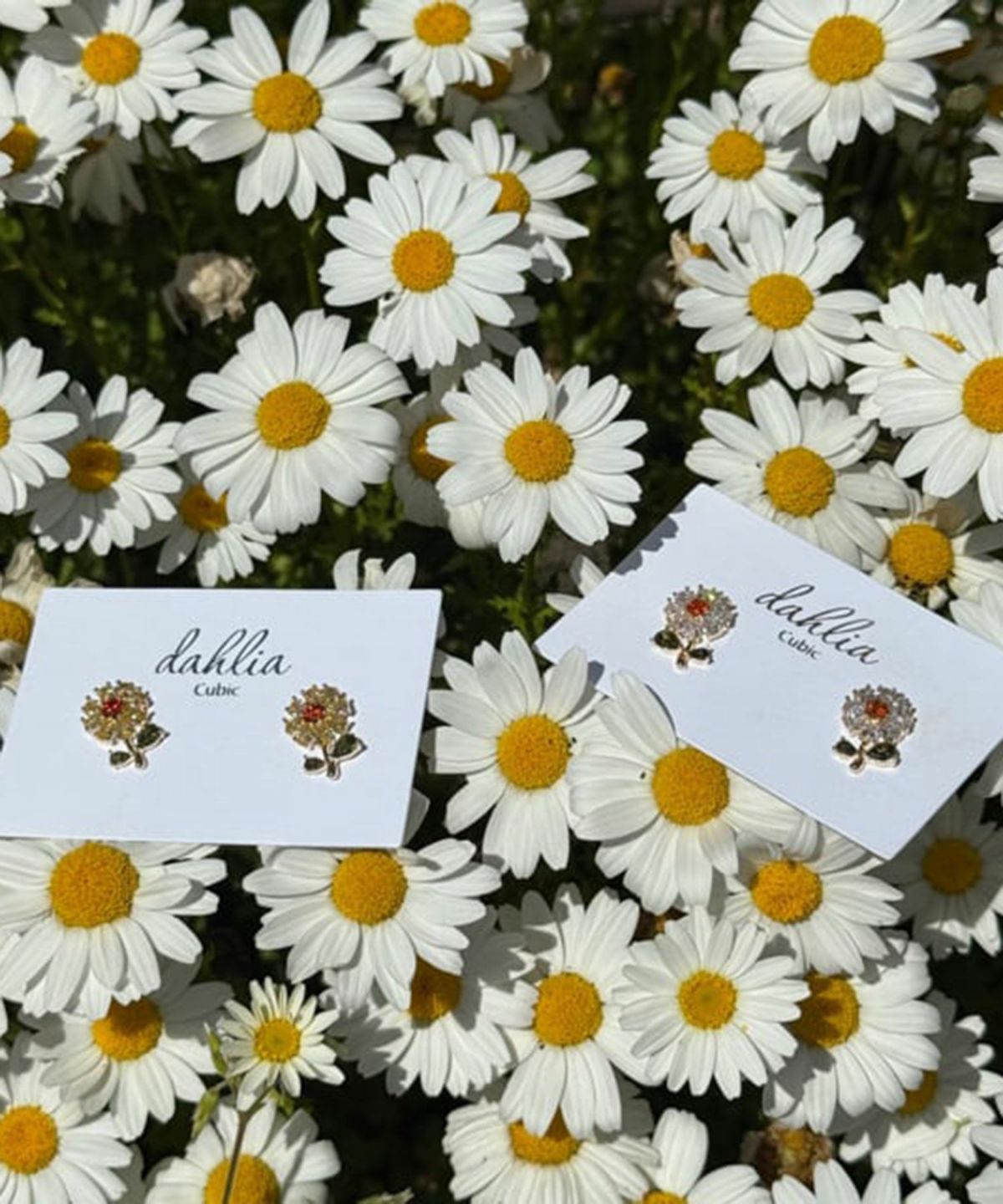 フィールドフラワーキュービックチタンポストピアス【Dahlia】