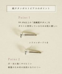 【web限定】ストーンフォルムピュアチタンポストピアス