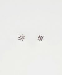 【web限定】ミニシャインピュアチタンポストピアス