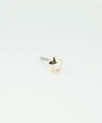 【web限定】ミニスターピュアチタンポストピアス