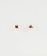 【web限定】ミニスターピュアチタンポストピアス