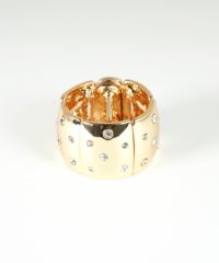 ビジュードットミニへアリエル