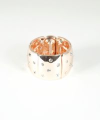 ビジュードットミニへアリエル