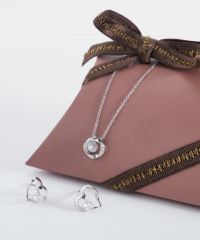 【web限定ギフトセット】シャイニングストーンピアス＆ネックレスクリスマスプレミアムセット