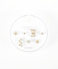 ウィンタースターズステンレスポストセットピアス