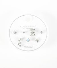 ウィンタースターズステンレスポストセットピアス